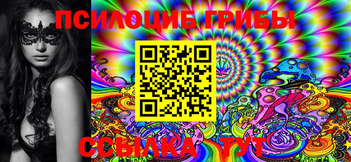 Мончегорск  Псилоцибиновые грибы MAGIC MUSHROOMS  Вход с VPN  Псилоцибиновые грибы GOLDEN TEACHER 