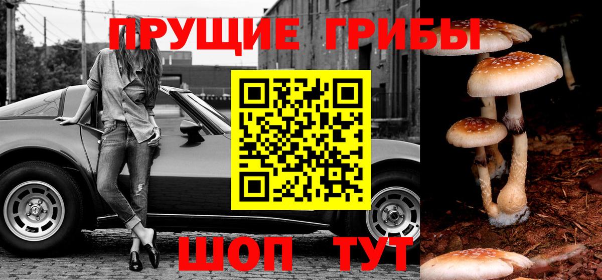 Псилоцибиновые грибы мухоморы Мончегорск