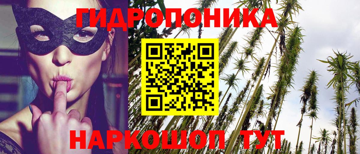 Шишки марихуана ГИДРОПОН  Вход с VPN  Мончегорск  Канабис THC 21% 